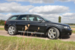 Audi S4 Avant